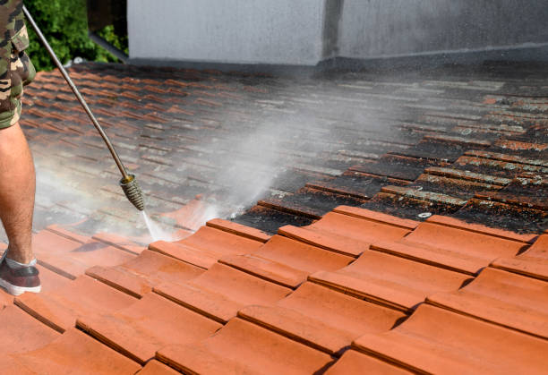 Best Pressure Washing Patio  in Ellisville, MO