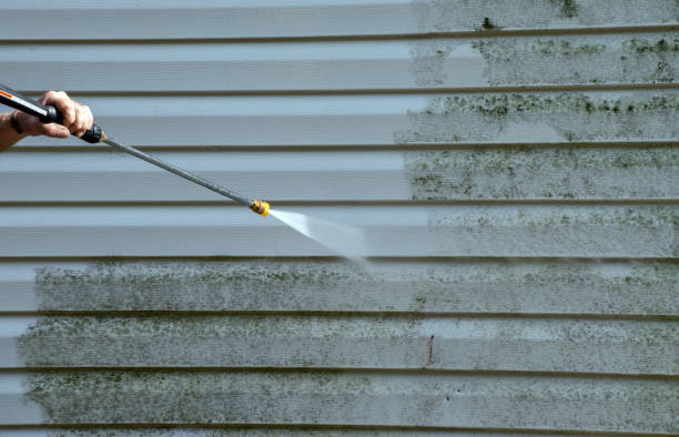 Best Exterior Home Cleaning  in Ellisville, MO